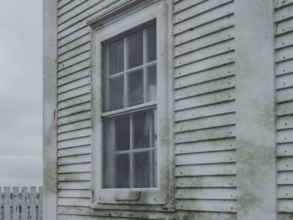 Before: the same siding with green algae under each lap, heaviest near the ground